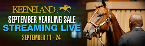 keeneland sales results|keeneland sale 2021 live coverage.